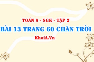 Bài 13 trang 60 Toán 8 Chân trời sáng tạo Tập 2
